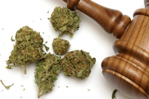 marijuana laws,drug bust,marijuana arrests,marijuana busts,marijuana charge,pot bust Arizona